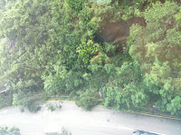 IMAGE_1000003715.JPG