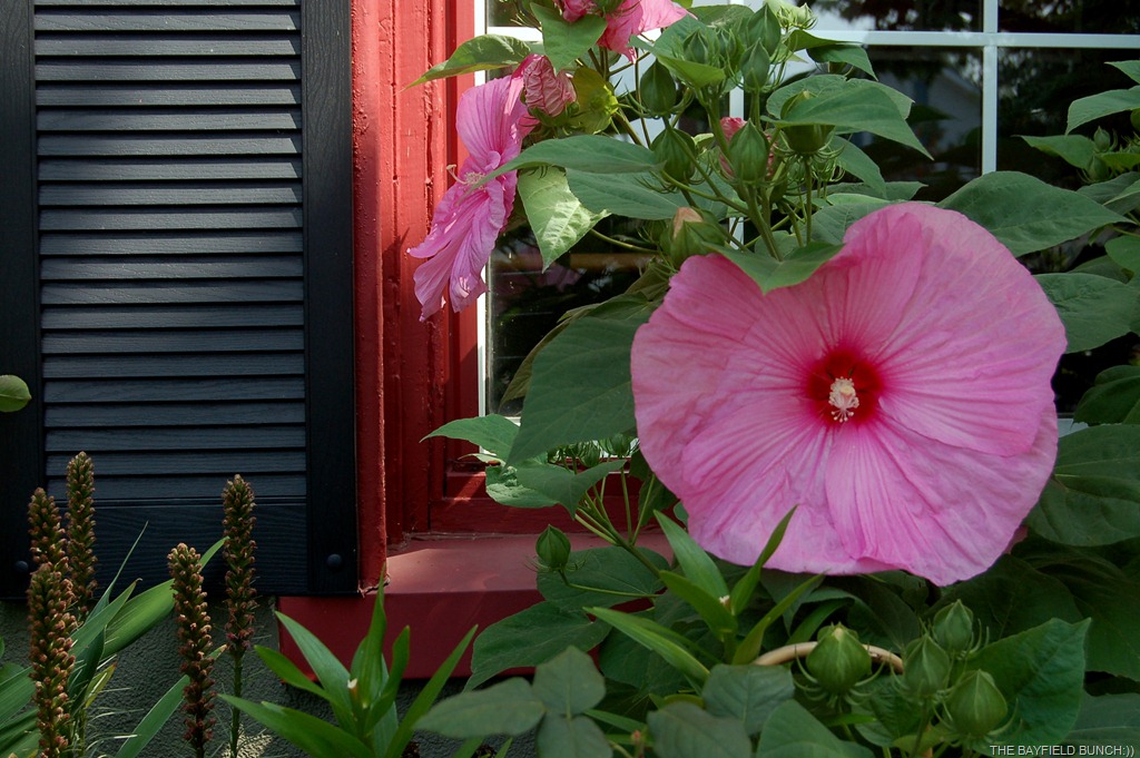 [DSC_0065%255B5%255D.jpg]