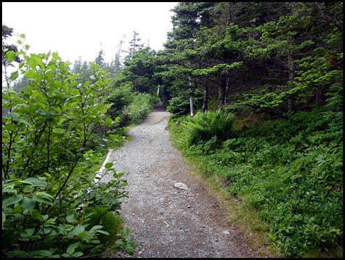 04e - Hike - Trailhead to Green Point