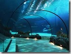 Rotterdam aquarium