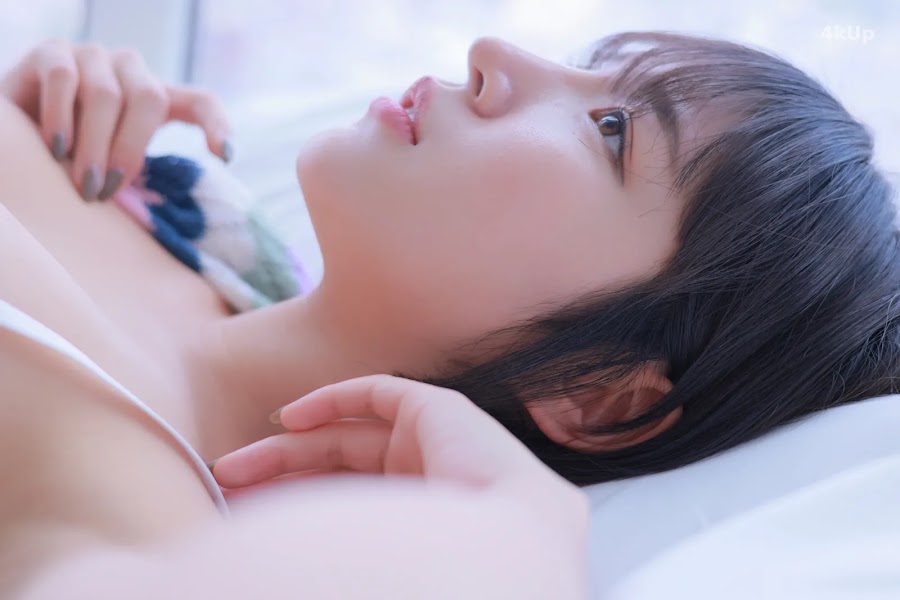 Korean Model Toriis