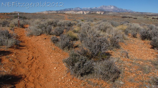 [IMG_1109ScatteredMysteriousWhite%2520Rock%255B10%255D.jpg]