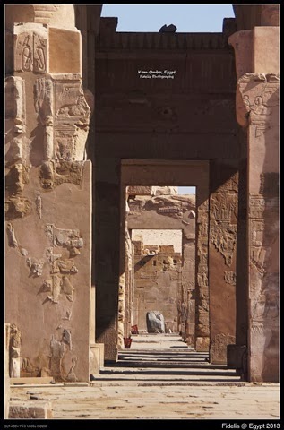 [EgyptDay11_0773.jpg]