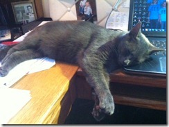 office assistant