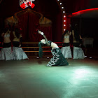 IMG_7265.jpg