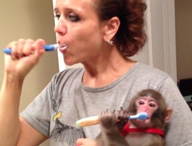 yasmin e o macaco escovam os dentes
