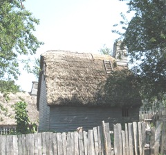 Plimoth Plant rethatching roof of house