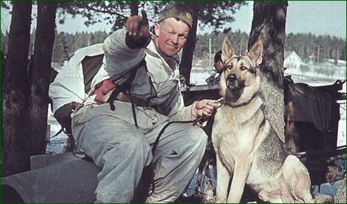 С Днем Победы!