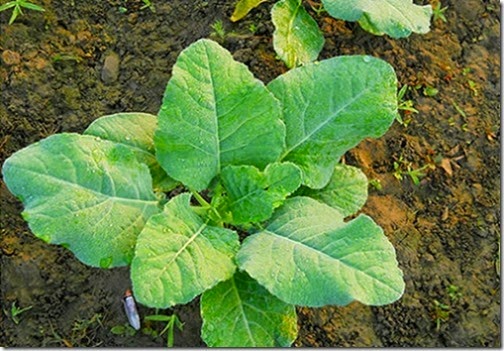 [clip_image00842.jpg]