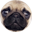 Amanda Reynolds profile picture