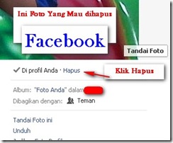 Hapus_Foto-ALbum_Facebook