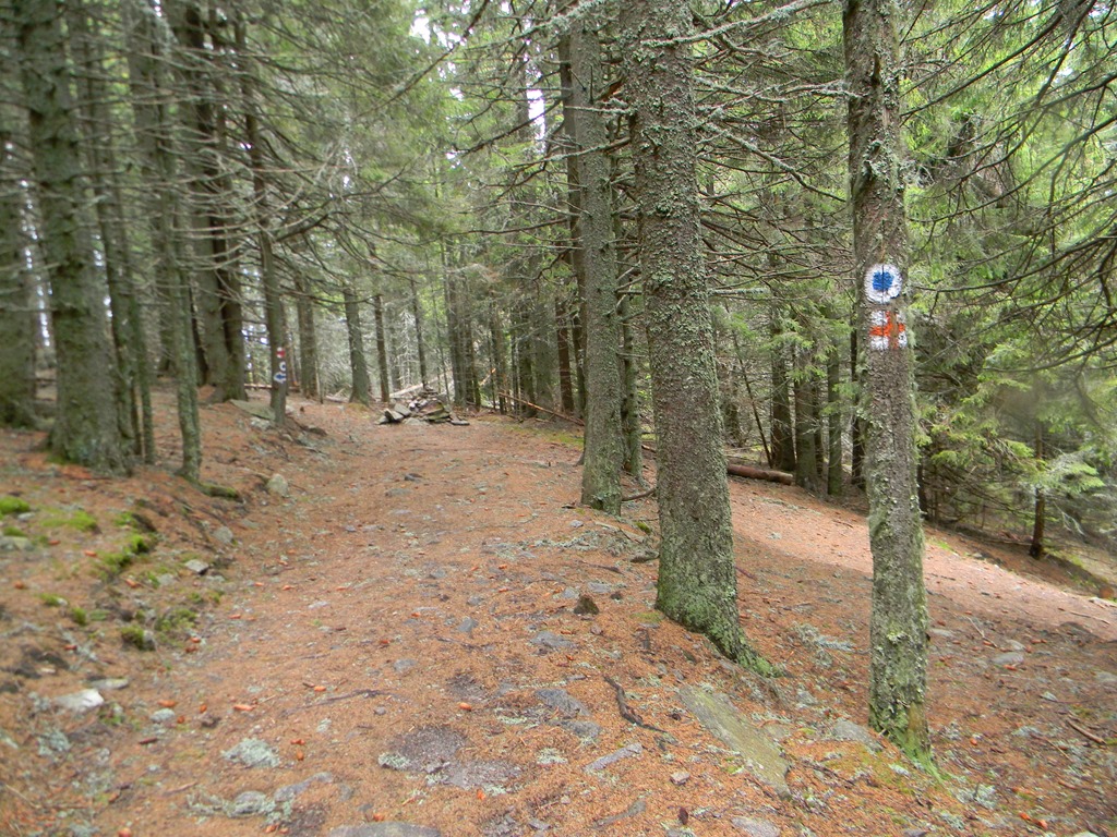 [DSCN04843.jpg]