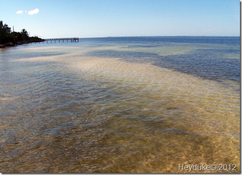 2012-01-24 Pine Island Florida 007