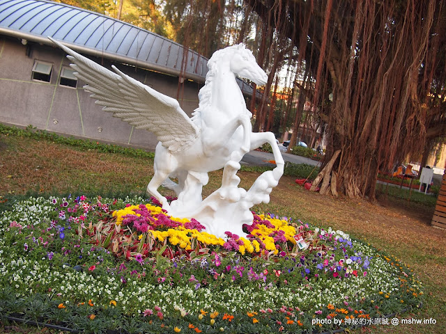 【景點】台南佳里中山公園@2014台南百花祭 : 花沒想像中的多,但還蠻適合散步的囉! 佳里區 區域 台南市 旅行 景點 