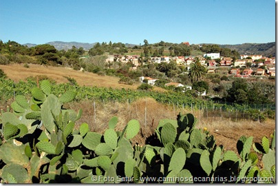 6451 Ruta del vino 6451 Ruta del vino