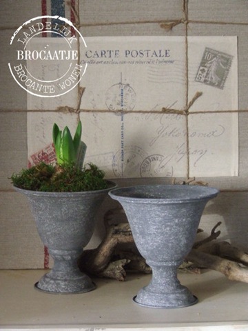 [zinken%2520bokaaltje%255B3%255D.jpg]