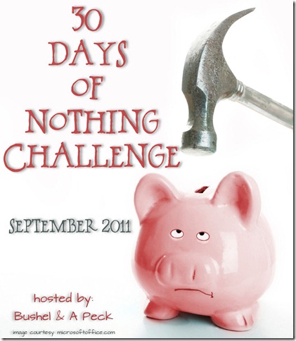 30-Days of Nothing Challenge