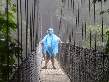 05. Hanging bridges, La Fortuna, Costa Rica.JPG