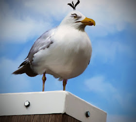 Real Time Angry Birds