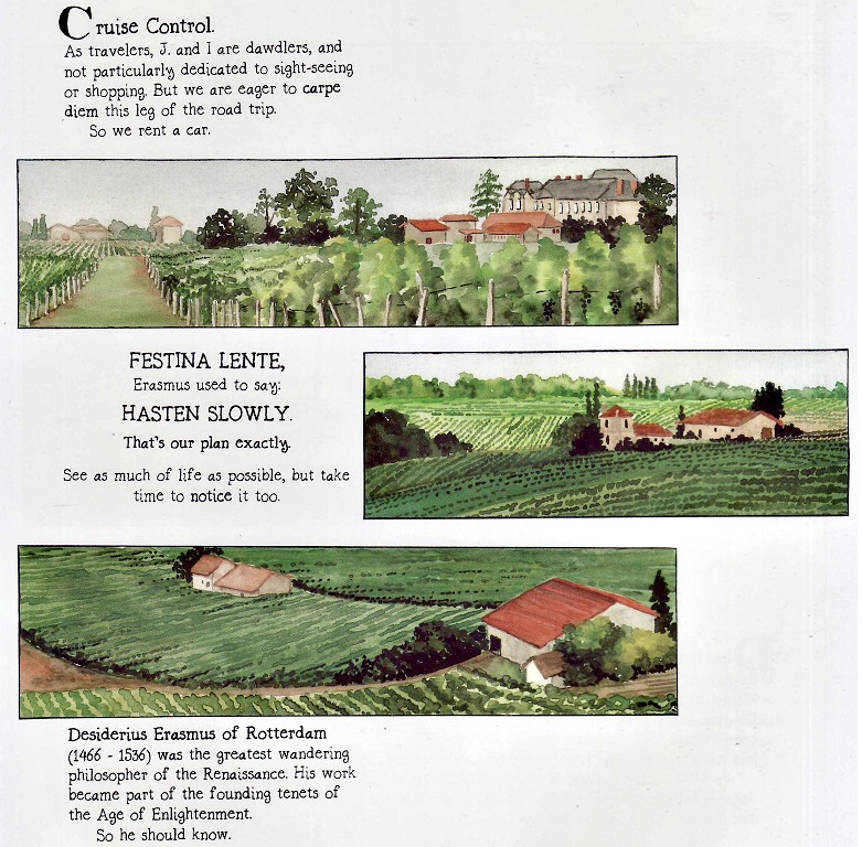 vineyards of bordeaux