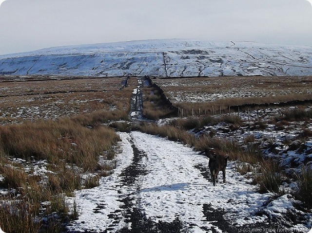 whernside from the occy