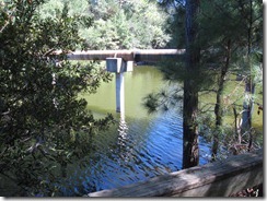 View of the creek crossing under William Hilton Parkway)
