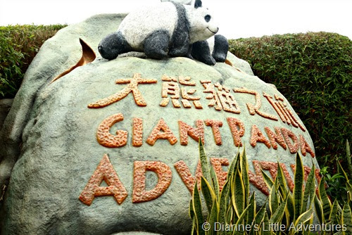 hong kong, ocean park, family, love, gian panda, panda, giant panda adventure, cute