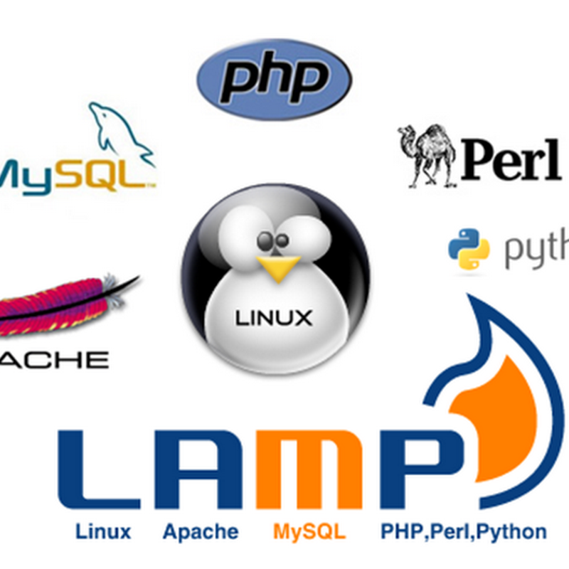 Installare un ambiente LAMP in Linux: installazione di MySQL .