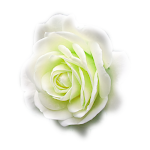 0_a687b_9a90506c_XL%255B1%255D.png