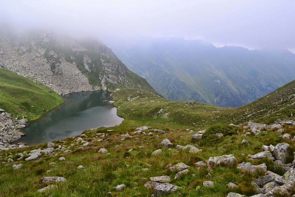 [DSC_37403.jpg]