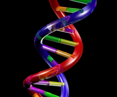 [dna%255B4%255D.jpg]