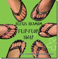flip_flops1
