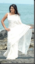 Sneha in white saree