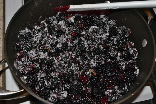 sugared blackberries