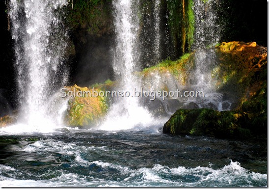 DSC_1482_Fotor DSC_1482_Fotor