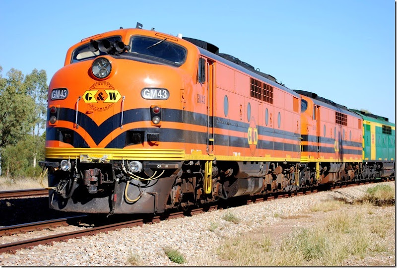 GM43_train