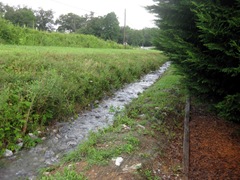 Drainage stream 2