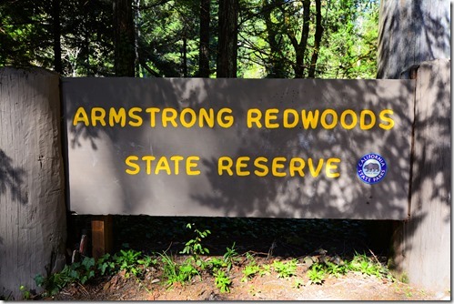 Armstrong Redwoods Sign