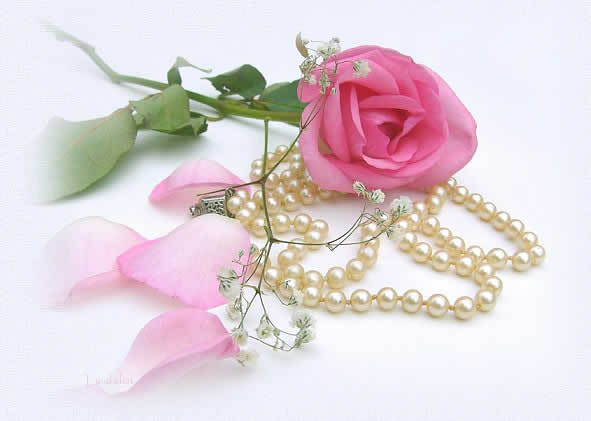 petalspic.jpg