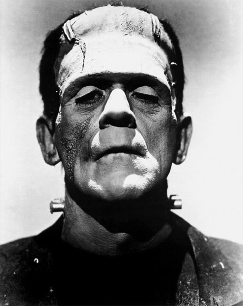 CC Photo Google Image Search Source is pixabay com  Subject is frankenstein 394281 640