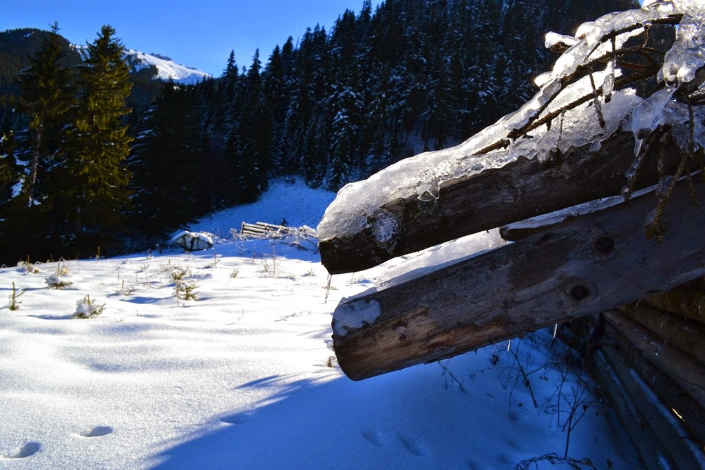 [DSC_7601%255B3%255D.jpg]