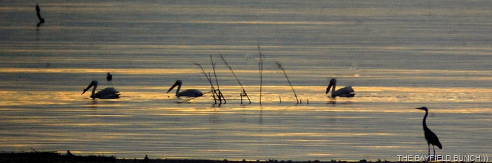 [DSC_5889%255B4%255D.jpg]