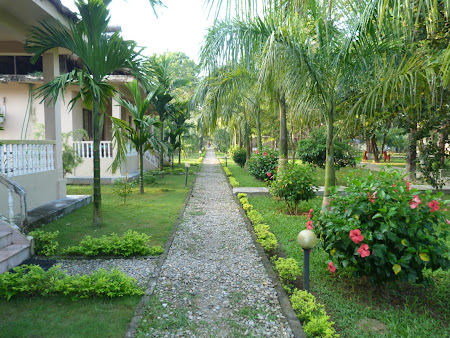 Chitwan Paradise Lodge