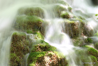 nice green tree moss in beautiful waterfall