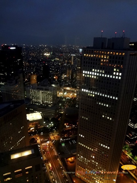[Tokyo-Metropolitan-Government-buildi%255B105%255D.jpg]