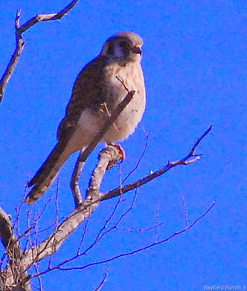 [DSC_0429%255B3%255D.jpg]