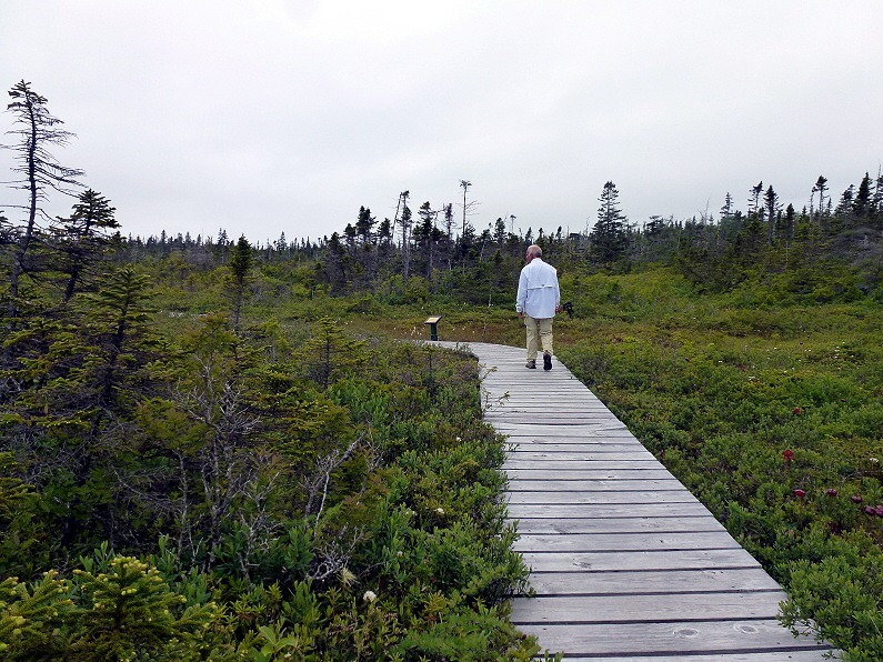 [04w5----Hike---The-Bog-Boardwalk2.jpg]