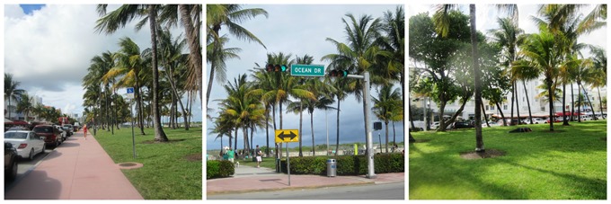 [ocean%2520drive%255B4%255D.jpg]