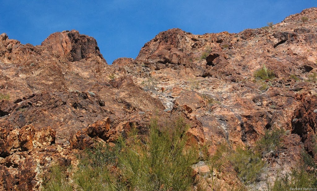 [DSC_0665%255B4%255D.jpg]