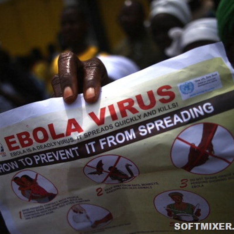 Пять вирусов опаснее “Эболы”